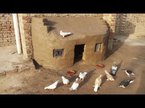 Make a Pigeon house With double mesh of clay and bricks