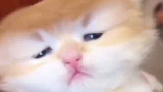 UNEXPECTED memes part 117