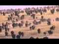 Exploring the Five Themes of Geography: Movement