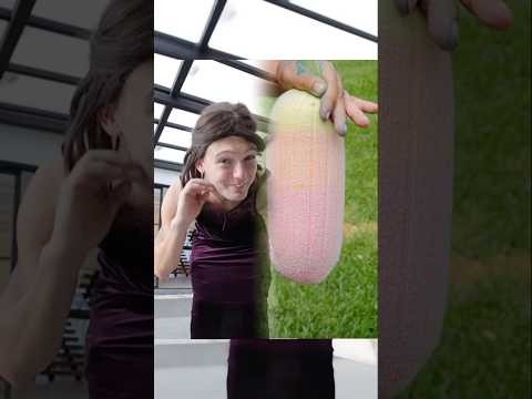 MI FAMILIA ESTA DIFERENTE  #alfredolarin #parati #mexico #elsalvador #comedia