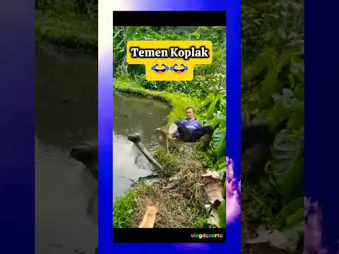 temen koplak jail 😂 #viral #funny #ngakak #shortvideo #shorts #short #viralvideo #fyp #video #fy