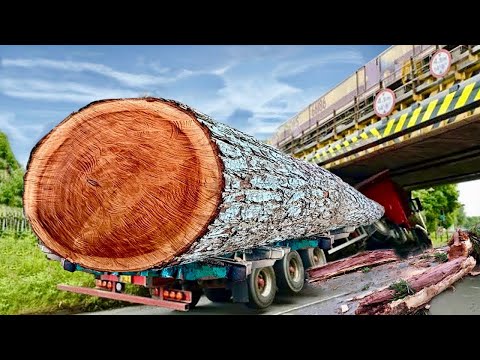 Extreme Fastest Vehicle Logging Truck Operator Dangerous Fails | Heavy Equipment Driving Skill Work.