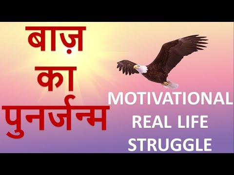 बाज़ के संघर्ष की ऐसी कहानी जो आपकी सोच बदल देगी || MOTIVATIONAL REAL LIFE STORY OF EAGLE'S STRUGGLE