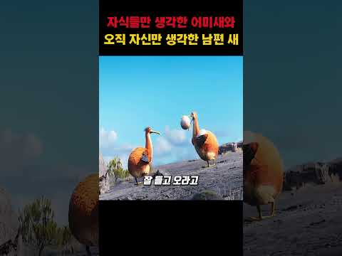 자식들만 생각한 어미새와 오직 자신만 생각한 남편 새