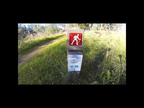 wagga wagga trail marathon
