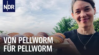 Neue Geschäftsideen für Pellworm | die nordstory | NDR Doku