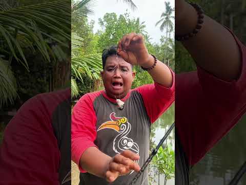 paling benar cari ikan dipasar