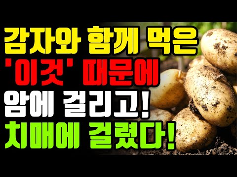 감자와 절대로 함께 먹지마세요🥔 암과 치매에 걸릴 수 있습니다! 감자 함께 먹으면 보약되는 음식 3가지와 종아리쥐 다리쥐 관절염 무릎통증 사라지는 기적의 레시피 [효능 건강 정보]