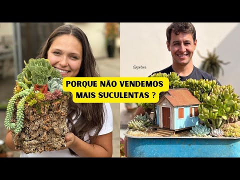 PORQUE ISSO ACONTECEU? PARAMOS DE VENDER SUCULENTAS