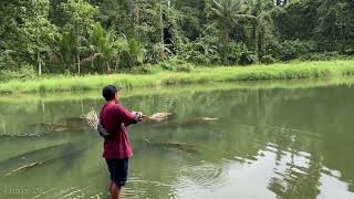 Mancing Gabus Danau Angker Di Atas Kelapa