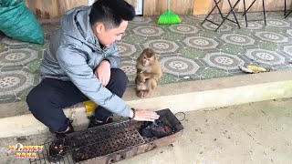Dad and Monkey Kaka keep warm together in the cold winter