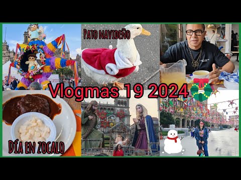 VLOGMAS 19 2024 🎄 PATO NAVIDEÑO + LOMO DELICIOSO 😋 SARA DICE