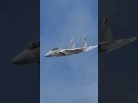 切り返し方がめちゃくちゃカッコイイAdvanced EAGLE F-15QA