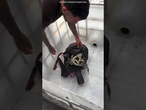 where was this boy hiding crabs #shortvideo
