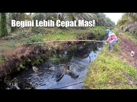 MENJARING SEKALI ANGKAT CEPAT DAPAT IKAN BANYAK