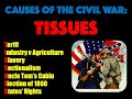 Civil War Economic and Political Issues