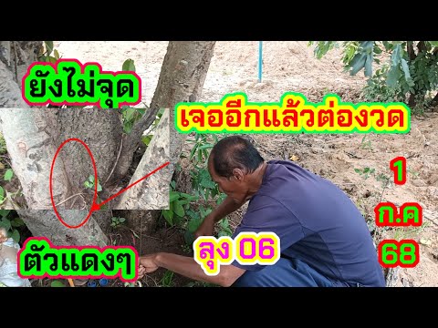ลุง06ไม้ประตูผี#ยังไม่หลุดเข้าทุกงวดตามต่อ1 ก.ค68
