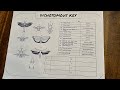 Identifying Organism Characteristics