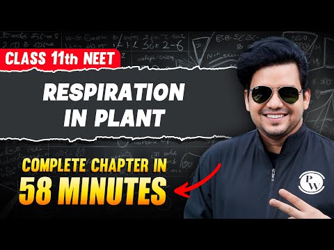 RESPIRATION IN PLANTS IN 58 Minutes | FULL Chapter For NEET | PhysicsWallah