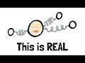 Understanding Mathematical Models and Their Interpretations