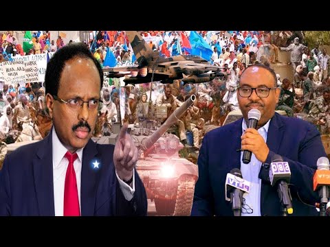 DAAWO Puntland Timirta Kasoo Baxda Beeraha Puntland Waxaa Lagu iibiyaa Suuqyada Xamar