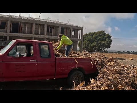 Building Our Forever Home in Mexico ♥️🇲🇽♥️ At Work with Fidel!