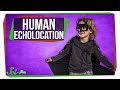 Echolocation in Humans and Animals