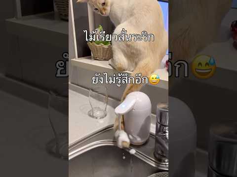 นุกดีนะแม่