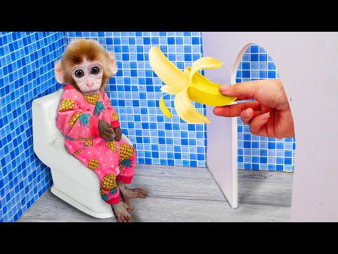 Monkey Baby Bi Bon oes to the toilet and plays with Ducklings in the swimming pool