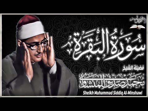 سورة البقرة بجودة عالية | لطرد الشياطين - وتحصين المنزل | فضيلة الشيخ محمد صديق المنشاوي