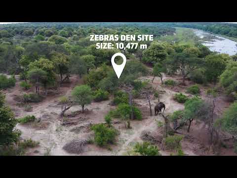 Invest In Boteti Zebras Den Lodge