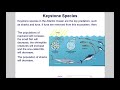 Ecosystem Dynamics and Human Impact