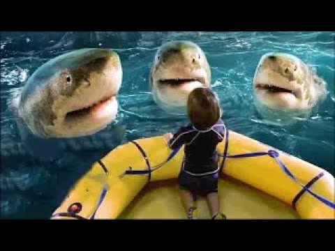 【Full Video】Boy raised by sharks grows up with superpowers