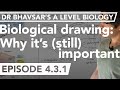 Importance of Biological Drawing