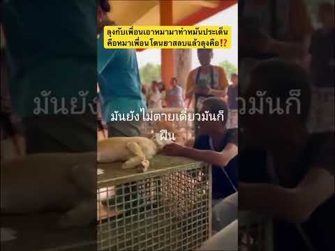 คุณลุงร้องให้หนักมาก🐕‼️😂 #สุนัขน่ารัก #สุนัขแสนรู้