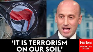 Stephen Miller Discusses New 'All Of Government Effort' To 'Dismantle Antifa'