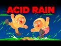Impact of Acid Rain on Environment