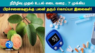 நீரிழிவு முதல் உடல் எடை வரை.. 7 முக்கிய பிரச்சனைகளுக்கு பலன் தரும் கொய்யா இலைகள்! - #tamiltv #tamil