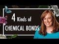 Exploring the Four Types of Chemical Bonds in Biology