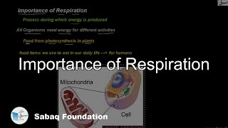 Importance of Respiration