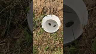 How to eliminate water from flooding your yard