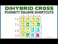 Mastering Dihybrid Crosses and Punnett Squares