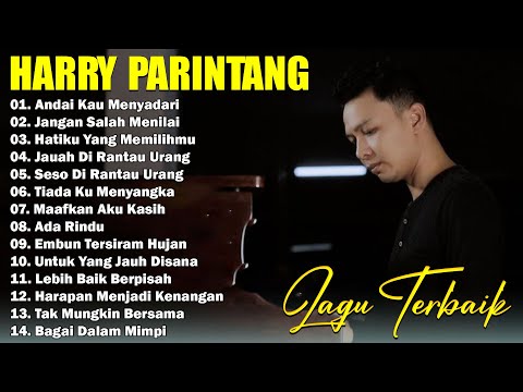 HARRY PARINTANG LAGU GALAU BIKIN BAPER Andai Kau Menyadari