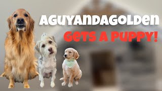 We Adopted A Puppy!