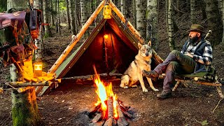 Forest Camping with My Wolf on a Rainy Day