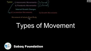 Types of Movements