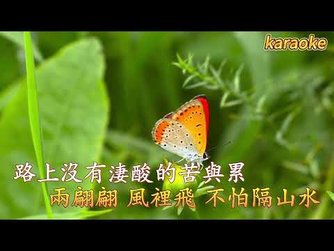 相愛化蝶 ( 粵語) 阿國哥karaokeKTV 伴奏 左伴右唱 karaoke 卡拉OK 伴唱 instrumental相愛化蝶 (粵語) 阿國哥karaoke