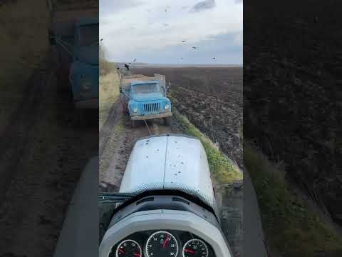 #фермер #андрейфермер40 #сельскоехозяйство #кфх #мтз #село #ремонт