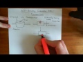 Transport Mechanisms in Cells