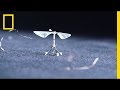 Robotics and the Future